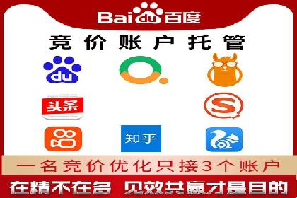 百度竞价包年服务：某行业领导品牌的成功故事